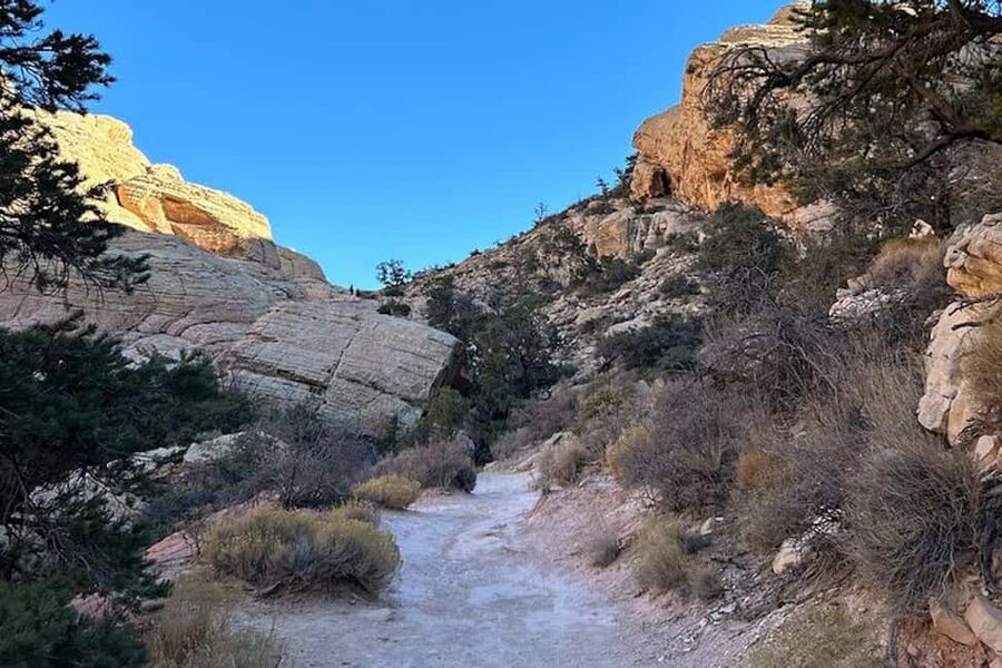 Las Vegas: Red Rock Canyon Guided Hike with Pickup - What the guide adds to the hike