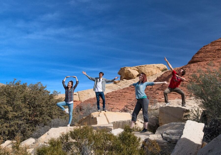 Las Vegas: Red Rock Canyon in an Adventure Tour Trekker - Red Springs, plants, wildlife, and desert safety