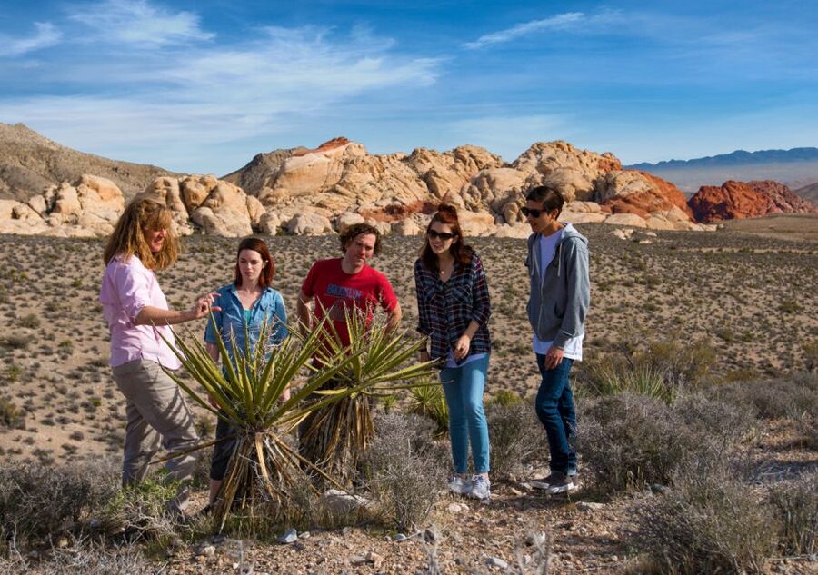 Las Vegas: Red Rock Canyon Tour & Rocky Gap 4x4 Adventure - The 13-mile scenic loop, with color at every turn