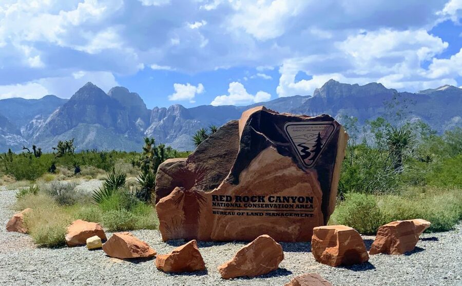 Las Vegas: Red Rock Canyon & Whimsical Cactus Joe's + Lunch - Red Rock Canyon in a compact half-day