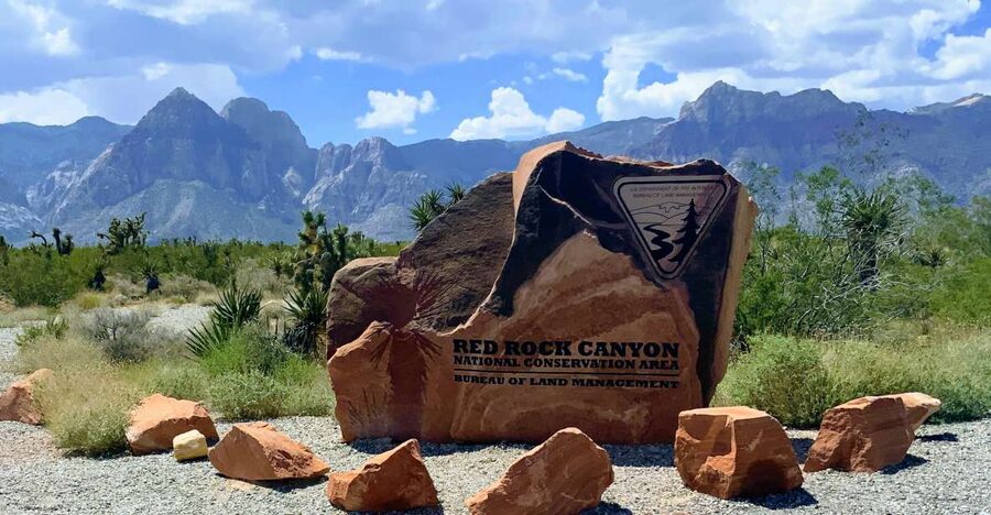 Las Vegas: Red Rock Canyon & Whimsical Cactus Joe's + Lunch - Meeting Susan, your private guide