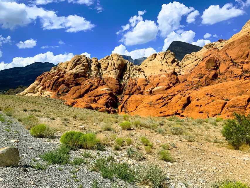 Las Vegas: Red Rock Canyon & Whimsical Cactus Joe's + Lunch - Why Cactus Joe’s is worth the detour
