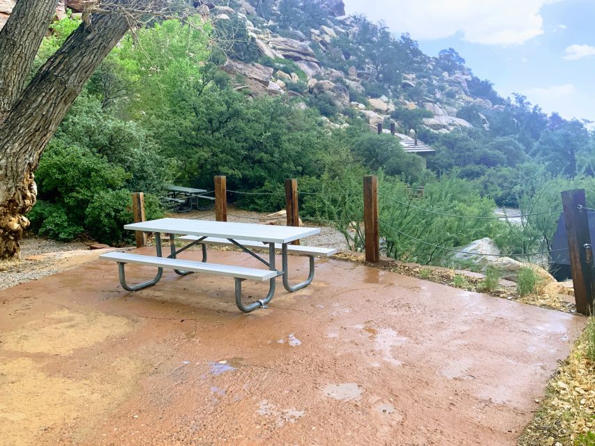 Las Vegas: Red Rock Canyon & Whimsical Cactus Joe's + Lunch - Practical details before you book