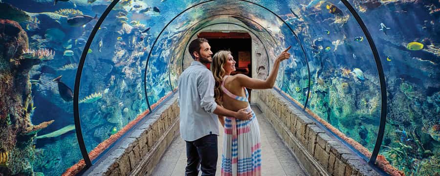 Las Vegas: Shark Reef Aquarium Entry Ticket - Key points at a glance