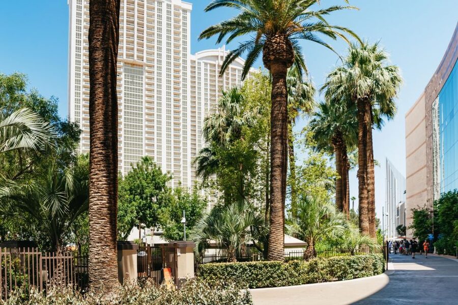 Las Vegas Strip: 3-Stop Pool Party Crawl with Party Bus - Meeting point details deserve attention