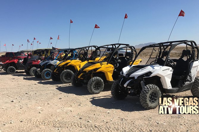 Las Vegas UTV / Buggy's Tours - Choosing between two, four, and six seats