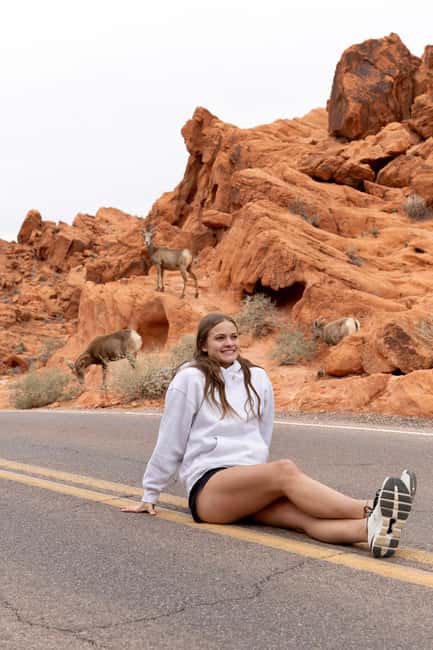 Las Vegas: Valley of Fire and Red Rock Canyon Day Trip - Key points to know before booking