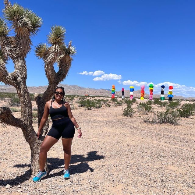 Las Vegas: Valley of Fire and Red Rock Canyon Day Trip - Transport from the Strip and the small-group feel