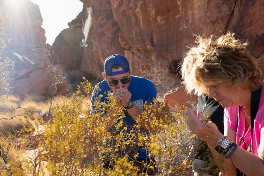Las Vegas: Valley of Fire and Red Rock Canyon Day Trip - Elephant Rock and the Cabins: an easy introduction