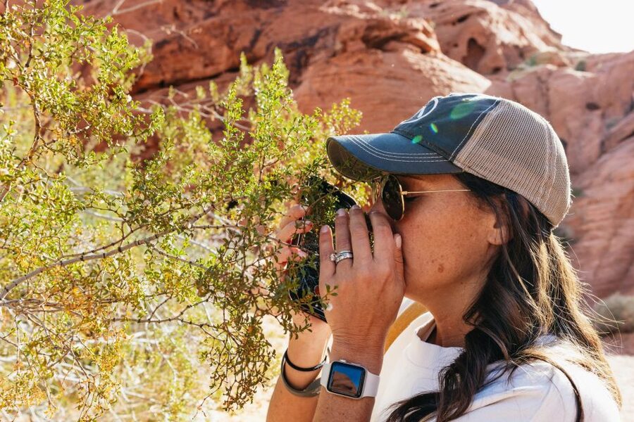 Las Vegas: Valley of Fire Guided Hike with Drinks and Snacks - FAQ