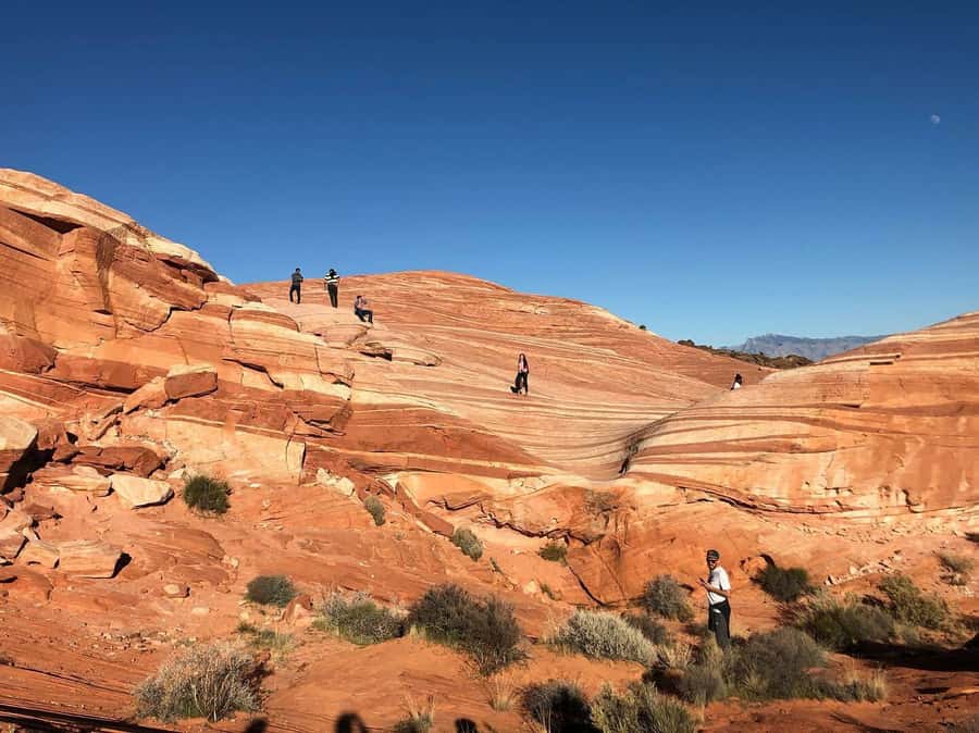 Las Vegas: Valley of Fire Half-Day Guided Hike with Pickup - Key points to know before booking