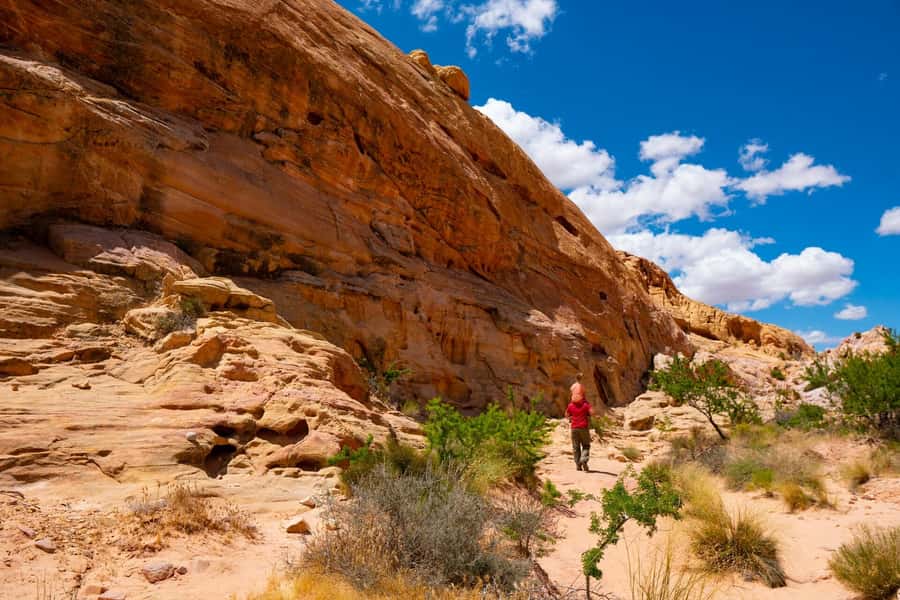 Las Vegas: Valley of Fire Half-Day Guided Hike with Pickup - White Dome Loop brings the park’s best textures together