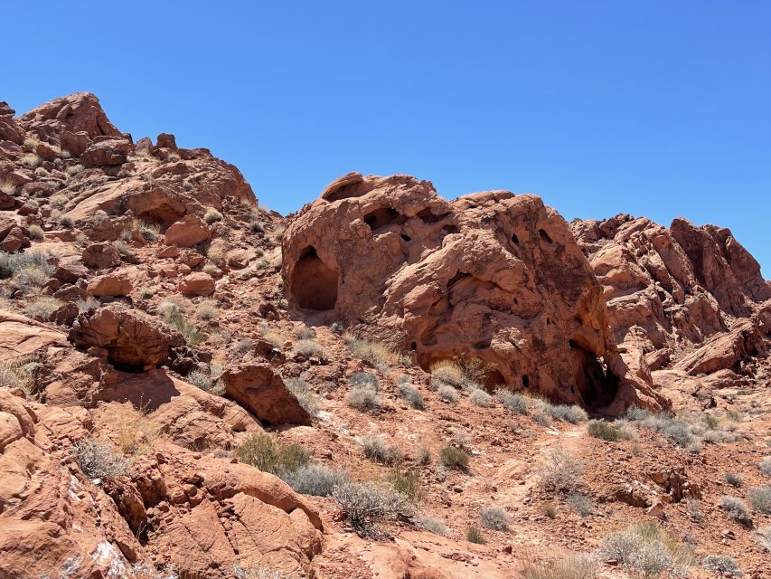 Las Vegas: Valley Of Fire State Park Tour - What the guide adds to the day