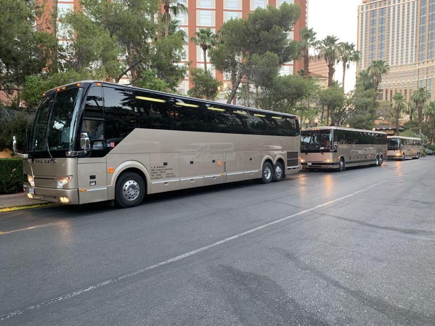 Las Vegas/Williams/Tusayan/Grand Canyon: One-Way Shuttle - Key points to know before booking