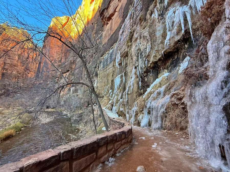 Las Vegas: Zion National Park Group Tour with Lunch - Why this Zion day trip works from Las Vegas
