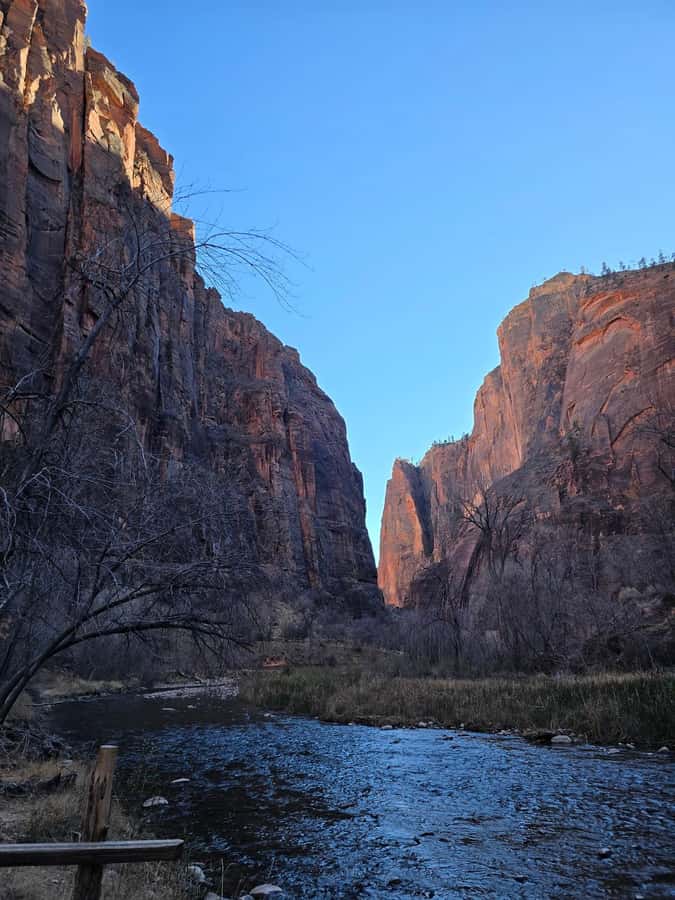 Las Vegas: Zion National Park Group Tour with Lunch - Lunch, water, and the practical extras