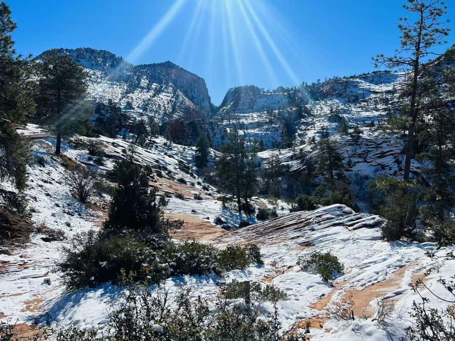 Las Vegas: Zion National Park Group Tour with Lunch - The 2026 non-US resident charge