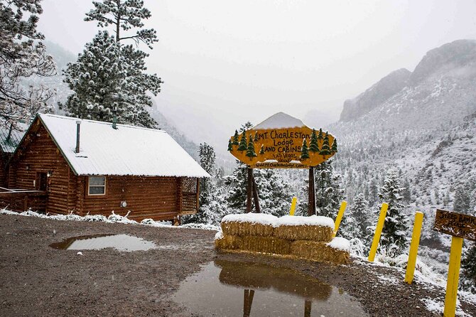 Mount Charleston Tour from Las Vegas - Key points to know before you go