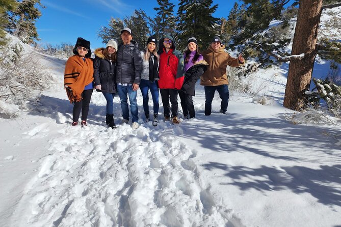 Mount Charleston Tour from Las Vegas - Why Mount Charleston makes a smart break from Las Vegas