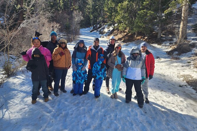 Mount Charleston Tour from Las Vegas - Snow play, sledding, and winter safety