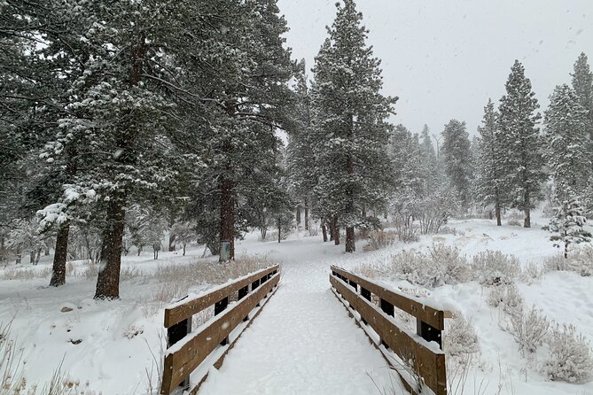 Mount Charleston Tour from Las Vegas - The early pickup and ride into the Spring Mountains