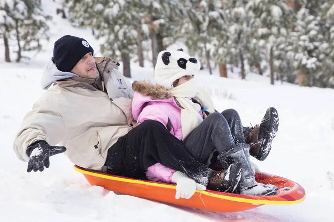 Mount Charleston Tour - Snow, sledding, and the ski-resort question