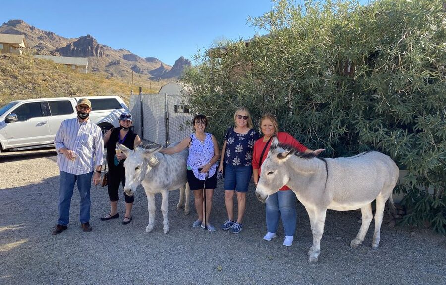 Oatman Mining Village: Burros/Route 66 Scenic Mountain Tour - Lunch at the Oatman Hotel