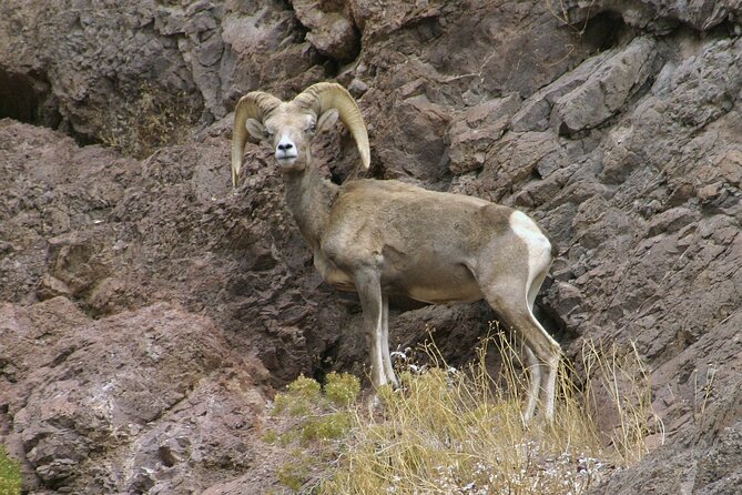 Old West ATV or RZR Adventure with Gold Mine Tour and Lunch - What the $334 price means for value