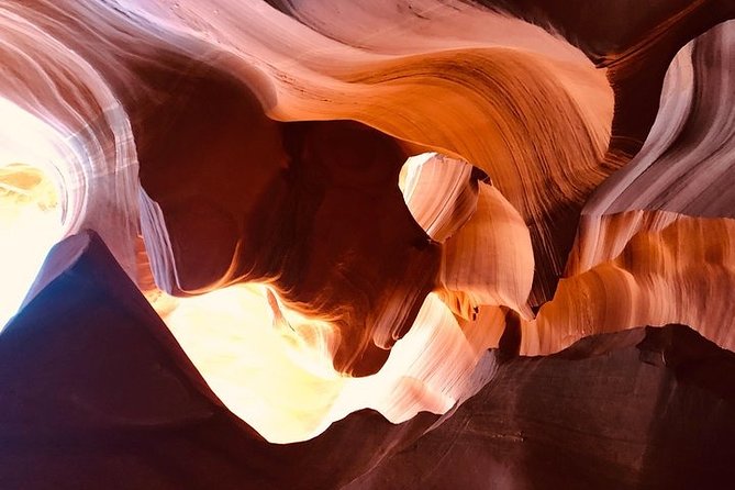 One day Grand Canyon Antelope Horseshoe :Stargazing Daily tour - Guides, language, and group experience