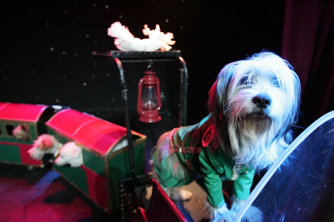 Popovich Comedy Pet Theater at Planet Hollywood Resort and Casino - Cats, juggling, and old-school circus comedy