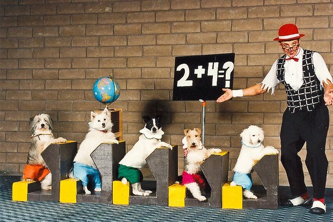 Popovich Comedy Pet Theater at Planet Hollywood Resort and Casino - The animals are the heart of the experience