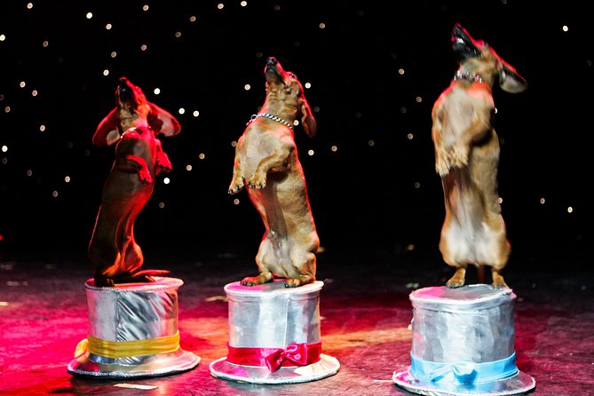 Popovich Comedy Pet Theater at Planet Hollywood Resort and Casino - Is $39 a fair price?