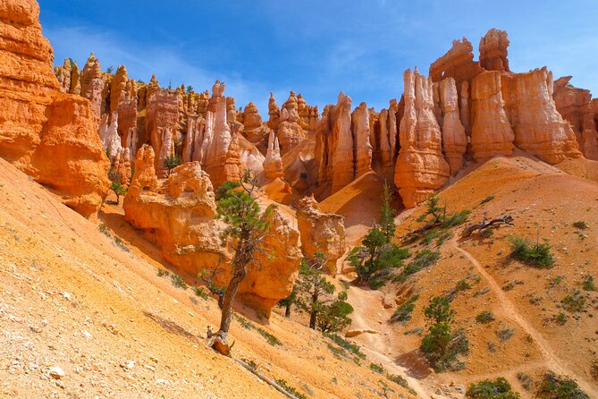 Premium Small Group 5-Day National Park Tour from Las Vegas - Day 1: Zion cliffs and Bryce Canyon hoodoos