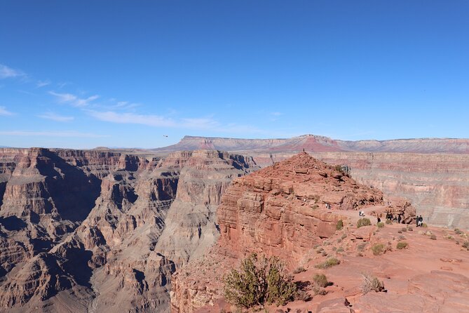 Private All-Access Tour: Grand Canyon & Hoover Dam from Vegas - Joshua Tree Forest adds variety to the drive
