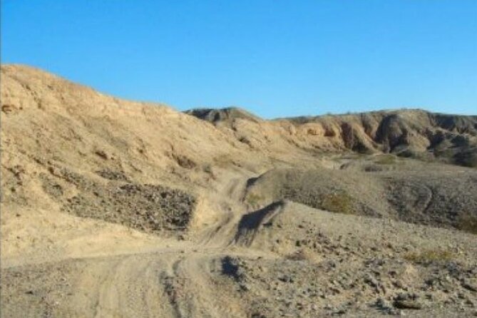 Private ATV Riding in Las Vegas - Who will enjoy this most?