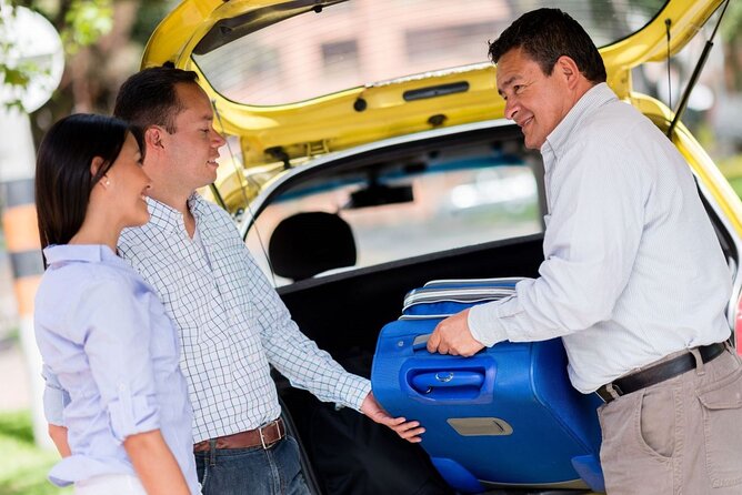 Private One-way Transfer Harry Reid Airport To Las Vegas - Who should book this transfer