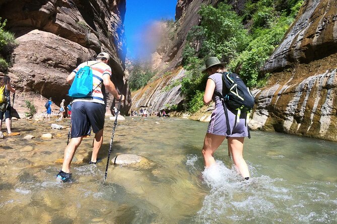 Private Tour: 7-Day Highlight Tour of Southwest Mighty Five - Day 1: Zion’s cliffs and the choice between Angels Landing and the Narrows