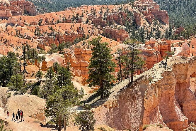 Private Tour to Zion National Park from Las Vegas - The guide can shape the quality of the day
