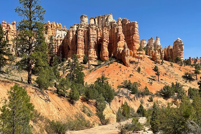 Private Tour to Zion National Park from Las Vegas - Who gets the best value at $415 per person