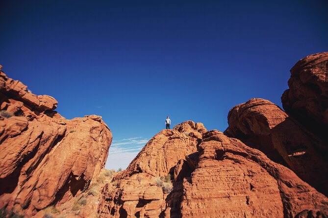 Private Tour: Valley of Fire Day Tour from Las Vegas - White Domes brings the most varied colors
