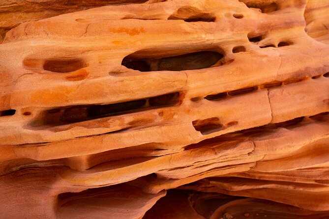 Private Tour: Valley of Fire Day Tour from Las Vegas - Transport, lunch, and the value of a private vehicle