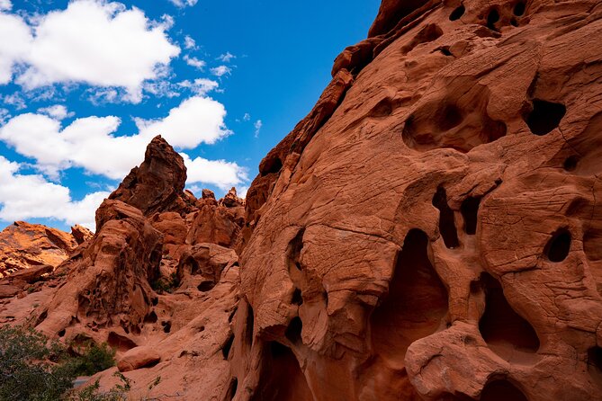 Private Tour: Valley of Fire Day Tour from Las Vegas - What the guide service adds