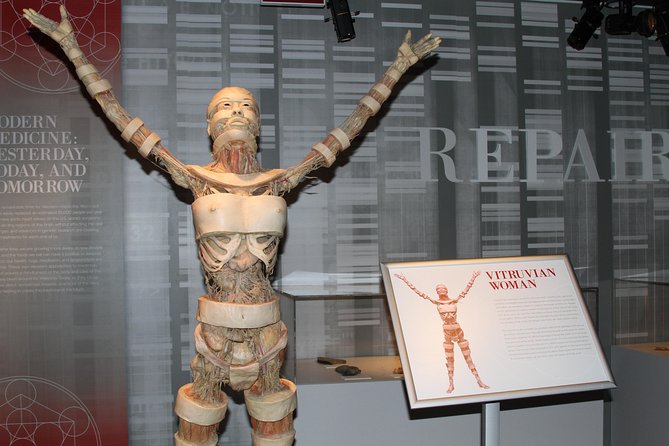 Real Bodies at Horseshoe Las Vegas - Gallery three: anatomy explained without a tour guide