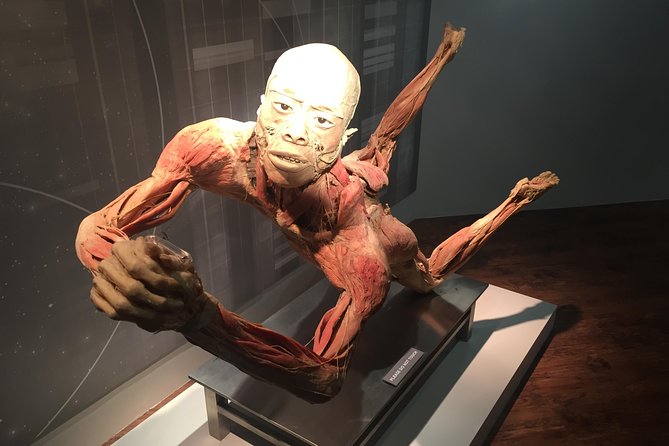 Real Bodies at Horseshoe Las Vegas - Who will get the most from Real Bodies?