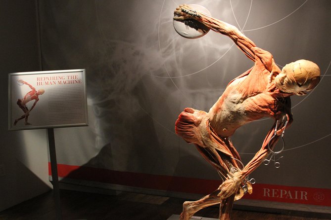 Real Bodies at Horseshoe Las Vegas - A thoughtful break from typical Las Vegas