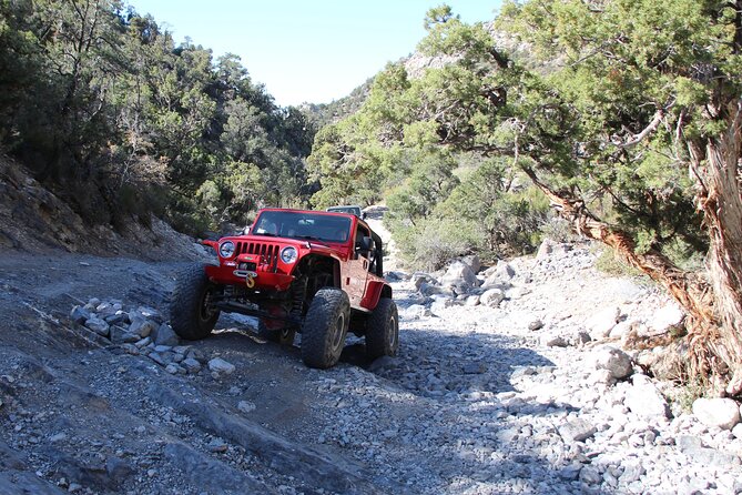 Red Rock Canyon Half Day Jeep Tour Offroad Adventure - Rocky Gap Trail and the climb to 6,500 feet