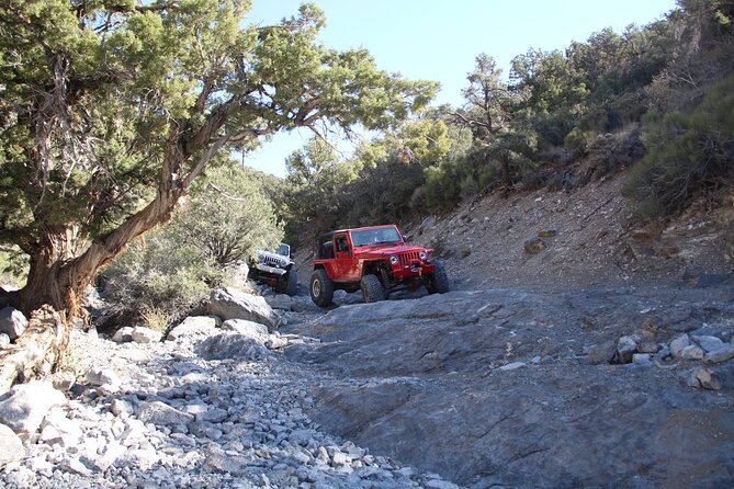 Red Rock Canyon Half Day Jeep Tour Offroad Adventure - The Rock Garden is the main challenge