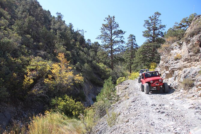Red Rock Canyon Half Day Jeep Tour Offroad Adventure - Starting at 3575 W Naples Drive