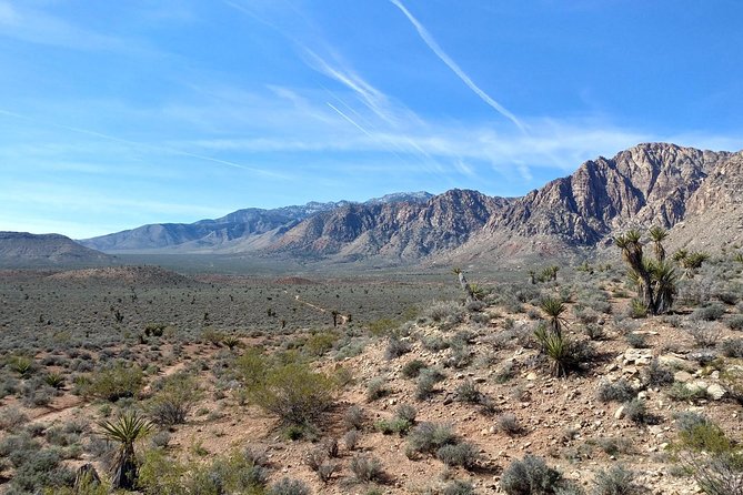 Red Rock Canyon Hike with Transport from Las Vegas - Red sandstone, Mojave air, and changing views