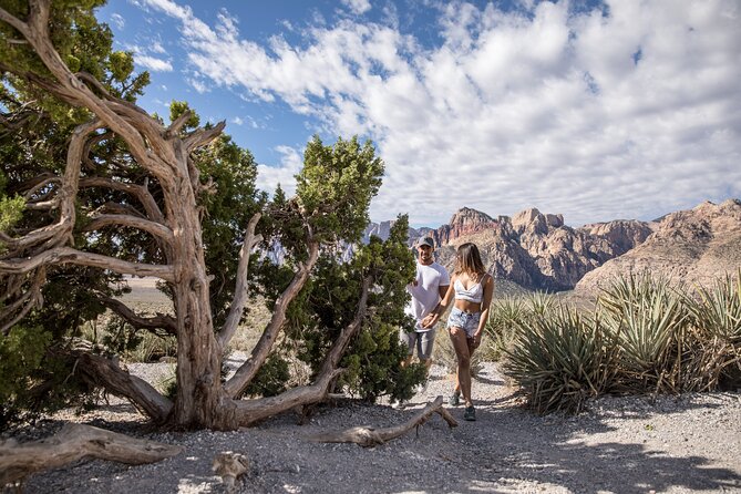 Red Rock Canyon Scooter Tour from Las Vegas - The 13-mile Red Rock Canyon loop